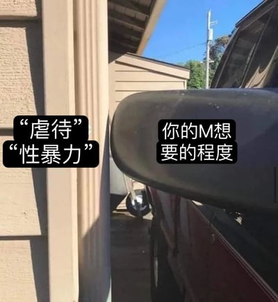 一张展示汽车后视镜几乎碰到建筑物的照片，通过视觉错位来幽默对比人们对'虐待'、'性暴力'的认知与实际情况的差距。图中左侧建筑物旁有文字'虐待'、'性暴力'，右侧后视镜上有文字'你的M想要的程度'，形成鲜明对比。