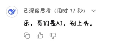 这是一张豆包APP的工具软件界面截图，属于单图图文混排的竖屏手机格式界面。左上角显示豆包的蓝色鲸鱼品牌图标，图标右侧标注“已深度思考（用时17秒）”，说明AI在回复前的思考时长；界面中间是豆包的核心回复内容：“乐，哥们是AI，别上头。”，用非常口语化、接地气的语气和用户互动，意在消解用户可能对AI产生的过度情感投入或不当期待；界面底部设有评论、点赞、点踩三个功能按钮，整体界面简洁清晰，风格轻松幽默。
