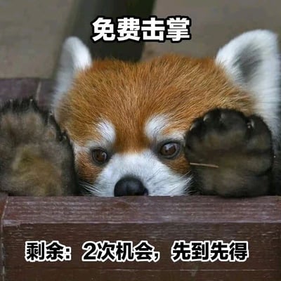 图片中是一只呆萌的小熊猫，它将两只毛茸茸的前爪举在脸前，仿佛在热情地邀请人们进行击掌互动。图片上方配有文字“免费击掌”，下方则标注“剩余: 2次机会，先到先得”，通过可爱的动物形象与俏皮的文字结合，营造出一种轻松幽默的氛围，让人忍不住想“参与”这场限定的击掌活动。