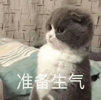 这是一张静态的文字加注类表情素材图，主体是一只灰白配色的苏格兰折耳猫，猫咪侧头看向画面左侧，眼神带着委屈感，神态看起来即将发怒，图片下方配有醒目的白色文字“准备生气”。整体风格软萌可爱，精准地传达出处于愤怒边缘、即将爆发情绪的状态，常被用作社交聊天中的表情包，用来表达自己即将生气的情绪。