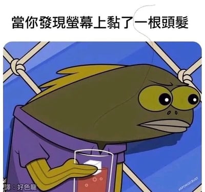这是一张以《海绵宝宝》中配角“鱼男”表情为主题的梗图，画面上配有文案“當你發現螢幕上黏了一根頭髮”。角色神情呆滞又有些无奈，模拟出发现屏幕上有头发但懒得处理的那种窘迫和烦躁，非常生活化，贴近真实日常小尴尬。

图片采用了台湾常用字词“螢幕”，并没有明显双关或谐音梗，但表达的无语和搞笑氛围使其适用于各种无奈或社死瞬间的网络场景。
