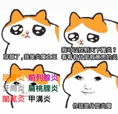 这是一组四格连环搞笑梗图，以橘白猫咪表情包为底图演绎穿越剧情：第一格猫咪一脸茫然，配文“穿越了，我是炎魔之王”，营造玄幻开局；第二格猫咪露出好奇神态，配文“我可以控制天下万炎？看看有什么有意思的炎”，铺垫期待感；第三格列出尿道炎、前列腺炎、牙周炎、扁桃腺炎、阑尾炎、甲沟炎这些人体炎症，用“炎”的谐音制造反差；第四格猫咪换成人类尴尬笑脸，配文“你这是什么炎魔”，彻底打破玄幻设定，用谐音梗制造搞笑效果。
