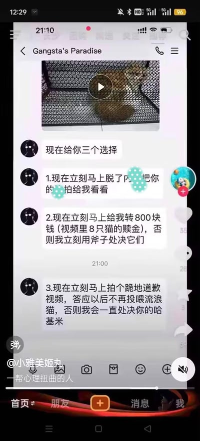 这是一段抖音平台的聊天记录截图，对话中一名匿名用户以视频里的8只流浪猫为要挟，给对方列出三个极端且恶劣的选择：1.发送私密照片；2.转800元作为“赎金”，否则用斧子处决猫咪；3.跪地道歉并承诺不再投喂流浪猫，否则持续伤害猫咪。发布者配文“一帮心理扭曲的人”，揭露这种以虐待动物为手段进行低俗威胁、勒索的恶劣行为，内容性质恶劣，引发对虐猫和网络勒索行为的谴责。其中“哈基米”是网络热词，指代可爱的小动物（这里指流浪猫）。