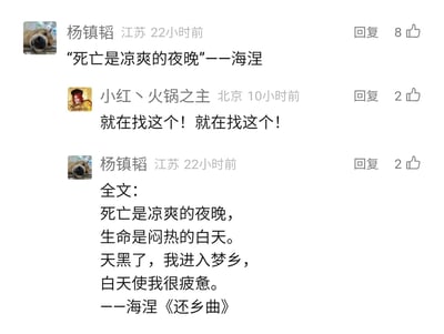 这是一张社交媒体评论区的静态截图，展示了两位网友关于德国诗人海涅诗句的互动：来自江苏的用户"杨镇韬"首先发布了海涅《还乡曲》中的诗句"死亡是凉爽的夜晚"，该评论获得8个点赞；来自北京的用户"小红丶火锅之主"看到后激动回复，称自己正在寻找这句诗；随后"杨镇韬"又发布了《还乡曲》的全诗内容，完整呈现了这首短诗的全部文字，相关评论分别获得2个点赞。整个互动围绕经典文学诗句的寻找与分享展开，氛围积极。