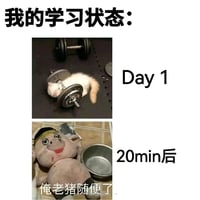 猪八戒