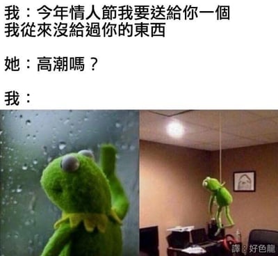 这是一个由文字和两张科米蛙表情包拼接而成的连环梗图，讲述了情人节前夕的一段尴尬对话：
1. 男生表示要送女生一份从未给过的情人节礼物
2. 女生误解男生的意思，用带有性暗示的“高潮吗？”回应
3. 男生用两张科米蛙的图作为回应：左侧是科米蛙在带雨滴的玻璃旁悲伤挥手，右侧是科米蛙被吊在天花板上呈现上吊姿态。

笑点解析：女生将男生的礼物表述误解为性暗示内容，男生则用科米蛙崩溃、绝望的表情包，表达自己被误解后的社死、尴尬情绪，同时“高潮”和“上吊”存在谐音关联，进一步强化了乌龙搞笑的效果。