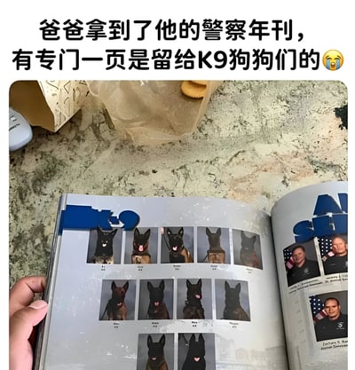 图片展示了一本翻开的警察年刊，左侧页面以蓝色“K9”字样为标题，整齐排列着9张K9警犬的肖像照，狗狗们神态各异，有的吐着舌头显得呆萌可爱；右侧页面则是警察人员的照片。画面上方配有文字说明“爸爸拿到了他的警察年刊，有专门一页是留给K9狗狗们的😭”，整体氛围温馨治愈，通过警犬们的可爱照片展现了它们在警察工作中的重要地位和受珍视的形象。
