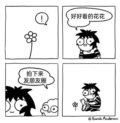 这是一幅汉化改编的四格黑白卡通漫画：第一格展示了一朵看起来正常大小的花朵；第二格主角探出头，惊喜地感叹“好好看的花花”；第三格主角萌生“拍下来发朋友圈”的想法；第四格主角蹲下来准备用手机拍照，却发现这朵花其实非常小，主角随即露出尴尬无奈的表情，精准调侃了当代人看到美好事物第一反应是拍照分享到社交平台，结果发现现实和预期存在反差的日常行为。