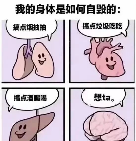 大脑