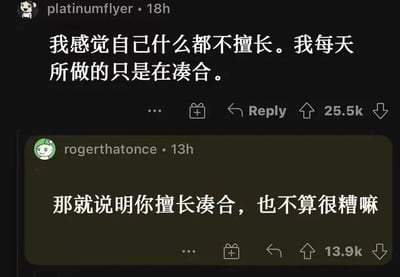 这是一张社交媒体对话截图，展示了一段关于自我怀疑与幽默回应的互动。用户platinumnflyer表达自我怀疑："我感觉自己什么都不擅长。我每天所做的只是在凑合。"，另一位用户rogerthatonce则以幽默方式回应："那就说明你擅长凑合，也不算很糟嘛"。截图显示原帖获得25.5k点赞，回应获得13.9k点赞，体现了网络社区中常见的互助与幽默文化。