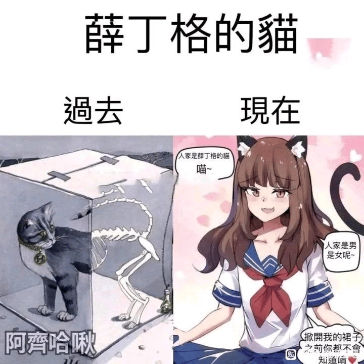 物理学思想实验