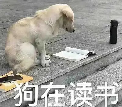 这张梗图中，一只黄色的狗坐在台阶上，身前摆着一本打开的书和一个保温杯，仿佛正在认真看书，画面下方配有大字“狗在读书”。画面场景搞笑、反差强烈，用来形容“狗都能做这件事了，你怎么还不行？”等自嘲或调侃情境。梗中“狗在读书”既有直接的幽默，又含有轻微的反讽意味。

**双关暗示：**“狗在读书”也会用于调侃自己或者网友“连狗都在学习/努力了，你还在摆烂？”。