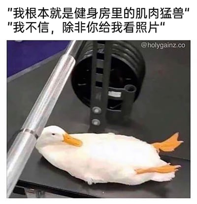 这是一张充满反差感的搞笑健身主题梗图，上方配有两段对话：一人自信宣称自己是“健身房里的肌肉猛兽”，另一人则要求看照片证实。下方图片是一只圆滚滚的大白鸭，淡定地躺在健身房的杠铃架下方，利用“鸭”与“兽”的谐音，将“肌肉猛兽”调侃成“肌肉猛鸭”，用动物的可爱外形和健身场景结合，制造强烈的反差幽默，适合用来调侃那些自称健身实力强劲但实际存在反差的人，趣味十足。