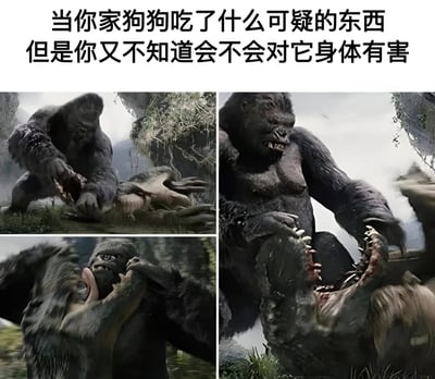图片上方配有文字“当你家狗狗吃了什么可疑的东西但是你又不知道会不会对它身体有害”，下方由四张电影截图拼接而成，展示了大猩猩Kong的一系列凶狠动作，包括撕咬、攻击等场景。通过夸张的电影画面幽默地表现出宠物主人发现狗狗误食可疑物品后内心的焦虑与紧张，用大猩猩的凶猛姿态类比主人此刻的急切和担忧心情。
