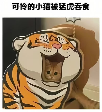 图片上方配有黑色文字“可怜的小猫被猛虎吞食”，下方主体是一只卡通风格的老虎形象，老虎有着橙白相间的皮毛和黑色条纹，双眼眯起呈开心大笑状，嘴巴张得很大。在老虎张开的嘴部空间里，有一只真实的橘猫探出头来，眼睛圆溜溜地看着前方，形成一种幽默的视觉反差效果。整体画面通过卡通与真实动物的结合，营造出轻松搞笑的氛围。