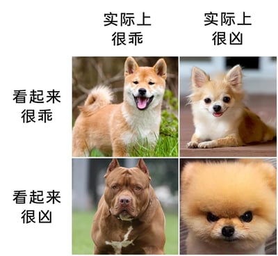 这是一张以狗狗外表与性格反差为主题的四宫格图文对比图，通过四个象限划分不同的反差类型：左上是看起来很乖、实际也很乖的柴犬，它站在草地上，张嘴露舌神态温和；右上是看起来很乖、实际很凶的吉娃娃，它趴在木质平台上，神态软萌；左下是看起来很凶、实际很乖的比特犬，它外形壮硕，神态严肃；右下是看起来很凶、实际也很凶的博美犬，它眉头紧皱神态凶狠。图中用文字清晰标注了每个象限的分类，直观呈现了以貌取“犬”的误区，充满趣味。