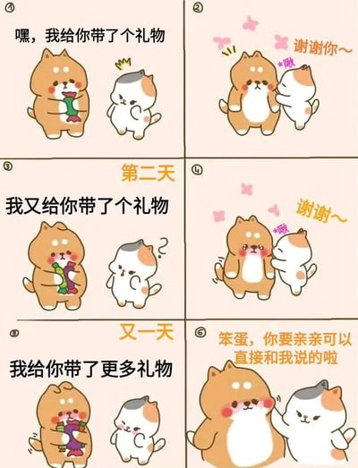 这是一组六格连环卡通漫画，讲述了狗狗通过持续送礼物来获得猫咪亲亲的可爱故事。第一格：棕色狗狗手持绿色礼物，对戴着小皇冠的白猫说“嘿，我给你带了个礼物”；第二格：白猫开心地拥抱狗狗，周围有粉色爱心，说“谢谢你~”；第三格（标题“第二天”）：狗狗又拿着彩色礼物，说“我又给你带了个礼物”，白猫歪头疑惑；第四格：白猫依旧拥抱狗狗，说“谢谢~”；第五格（标题“又一天”）：狗狗抱着更多礼物，说“我给你带了更多礼物”，白猫若有所思；第六格：白猫用爪子轻触狗狗脸颊，说“笨蛋，你要亲亲可以直接和我说的啦”，狗狗脸红害羞。整体风格温馨治愈，通过动物互动展现出纯真的情感表达。