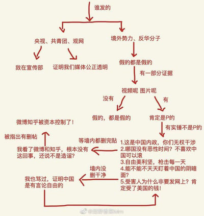这是一张讽刺部分人群双标信息判断逻辑的流程图，通过箭头和文字展示了完全对立的两套信息评判标准：
1. 若信息来自央视、共青团、观网这类主体，要么被无端扣上“敌在宣传部”的帽子，要么被用来佐证“我们媒体公正透明”；当被指出相关内容在微博、知乎被删帖时，会倒打一锤称“微博知乎被资本控制了”，甚至在内容被删完后，以“没看到相关内容”反过来指责对方造谣。
2. 若信息被归为境外势力、反华分子发布，则会层层质疑真实性：先直接判定为假，有部分证据时索要视频图片，没有素材就再次判定为假，有素材就污蔑是P的，有实锤证明不是P的，就立刻转移话题，抛出“这是内政”“别国也有”等言论，甚至进行人身攻击、甩锅境外势力。
此外还包含“自己骂过就证明有言论自由”的荒谬逻辑，整体讽刺了网络上部分人在信息判断上的双重标准，不存在双关、谐音梗或暗示内容。