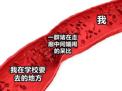 这是一张3D渲染风格的静态图文混排图，画面主体为一条红色血管，内部充满流动的红细胞。血管被比喻为学校走廊，其中部分红细胞被标注为“一群堵在走廊中间嬉闹的呆比”，而“我”则代表想要通过走廊到达目的地的学生，下方文字“我在学校要去的地方”强化了这一校园场景的映射。整体通过生物结构与校园生活的类比，幽默表达了学生在走廊被拥堵的无奈体验。