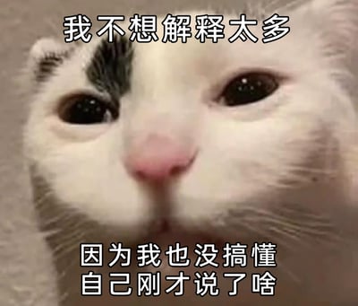 这是一张静态单图表情包，主体为一只白灰相间的猫咪脸部特写，猫咪眼神迷茫涣散，面部表情呈现出懵圈、不知所措的状态。图片上方配有文字“我不想解释太多”，下方配有文字“因为我也没搞懂自己刚才说了啥”，将猫咪的迷茫神态与自嘲文字相结合，精准地刻画了人们在发言后，自己都不清楚表达了什么的懵圈、尴尬心理，非常贴合日常聊天中，遇到口误、思维混乱等场景时的情绪，适合用来调侃自己的失态时刻，增强聊天的趣味性。