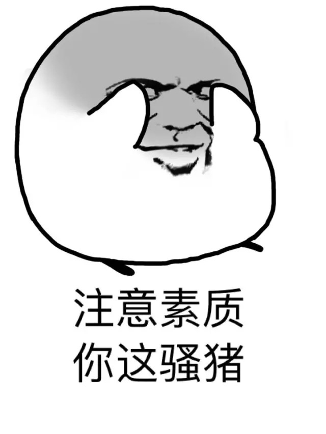 注意素质 你这骚猪表情包