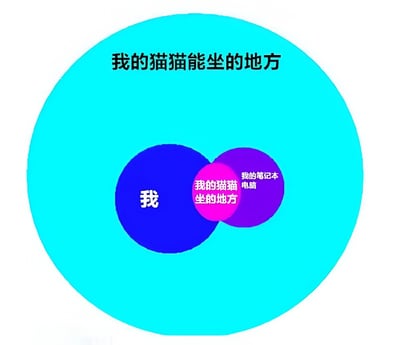 这是一张幽默的Venn图，用来说明猫咪的座位选择偏好。图中最大的蓝色圆圈标有'我的猫猫能坐的地方'，内部包含两个重叠的小圆圈：左侧蓝色圆圈标有'我'，右侧紫色圆圈标有'我的笔记本电脑'。两个小圆圈的重叠区域（粉色）被标记为'我的猫猫坐的地方'，幽默地表达了猫咪总是喜欢坐在主人和笔记本电脑上的有趣行为。
