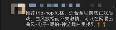 图片内容为一段音乐推荐文字，提到推荐trip-hop风格音乐，称其适合‘全程前戏正戏后戏’，曲风特点是放松而不失激情，并指引可在网易云音乐的‘曲风-电子-缓拍-神游舞曲’分类中找到，末尾带有两个玫瑰emoji 🌹🌹。