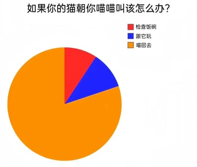 图片为一张幽默风格的饼图，标题为'如果你的猫朝你喵喵叫该怎么办？'。饼图分为三个颜色区块：红色代表'检查饭碗'，蓝色代表'跟它玩'，橙色代表'喵回去'。其中橙色区块占比最大，暗示在猫咪喵喵叫时，最主要的应对方式是'喵回去'，带有调侃铲屎官与猫互动的趣味感。