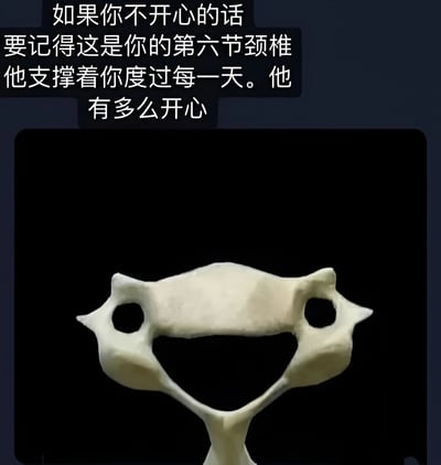 图片上方为白色文字：“如果你不开心的话 要记得这是你的第六节颈椎 他支撑着你度过每一天。他有多么开心”，下方是一个白色的颈椎骨骼模型（疑似第六节颈椎），整体背景为深色。通过将颈椎骨骼拟人化，用“他支撑着你”“他有多么开心”的表述，以一种幽默又温暖的方式，借身体部位的默默付出传递安慰，鼓励人们在不开心时看到身边“支撑”自己的存在。