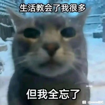 这是一张搞笑表情包，主体是一只画面略微模糊、眼神空洞呆滞的橘猫，图片顶部配文“生活教会了我很多”，底部配文“但我全忘了”，用反差的文字搭配猫咪茫然的神态，戏谑地表达了自己记性差、生活里学到的东西转头就忘的状态，风格诙谐有共鸣感，右下角带有百度贴吧meme图吧的水印。
