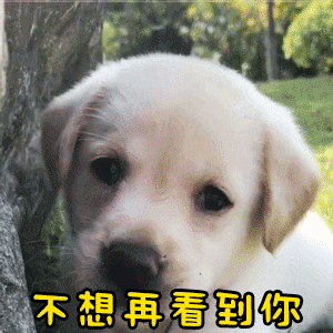 小狗转头说'不想再看到你'动态表情包