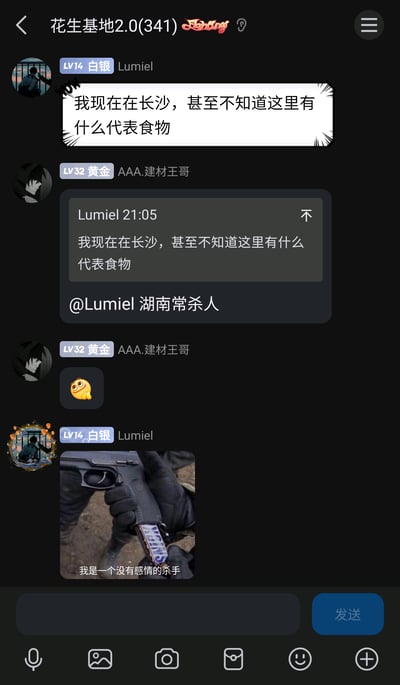 这是一张竖屏手机格式的群聊记录截图，群聊名称为“花生基地2.0(341)”。群内用户Lumiel（LV14白银）表示自己身处长沙，却不知道当地代表食物；用户AAA.建材王哥（LV32黄金）用谐音梗“湖南常杀人”回应，谐音长沙知名代表食物“臭豆腐”，同时发送了一个捂嘴笑的表情来调侃；随后Lumiel发送了一张配有“我是一个没有感情的杀手”文字的网络梗图，呼应王哥的“杀人”谐音梗，完成了一段趣味群聊互动。