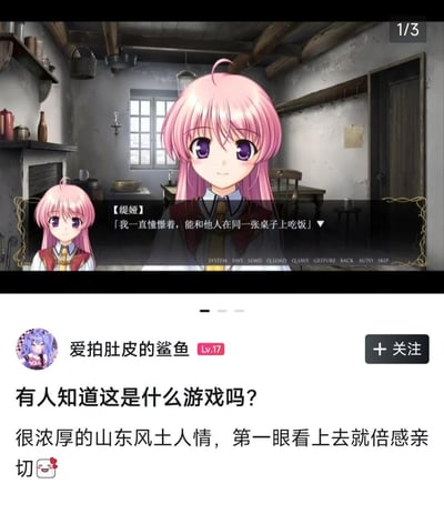 图片展示了一个动漫风格的视觉小说游戏场景。画面中央是一位有着粉色长发和紫色眼睛的少女缇娅，她站在一个带有木质房梁和旧式家具的乡村风格房间里。少女面带微笑，眼神温柔。画面下方有对话文本框，显示缇娅说：「我一直憧憬着，能和他人在同一张桌子上吃饭」。截图下方还有用户评论，询问游戏名称并提到画面有浓厚的山东风土人情。
