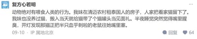 这是一条社交媒体用户分享的生活经历帖，用户“复方心若明”称动物存在投喂人类的行为，并讲述了妹妹在泰国清迈农村的离谱遭遇：妹妹租下泰国人的房子，房主留下了一只看家猫，没养过猫的妹妹在搬入当天给猫送了猫罐头当见面礼，结果半夜睡觉时感觉嘴里腥臭，开灯后发现那只猫正把半只血淋淋的老鼠往她嘴里塞。这个经历将猫咪把自己认为的“美食”分享给人类的行为以荒诞又好笑的方式呈现，既让人觉得惊悚又忍不住觉得搞笑，是宠物和人类相处时的趣味乌龙事件。