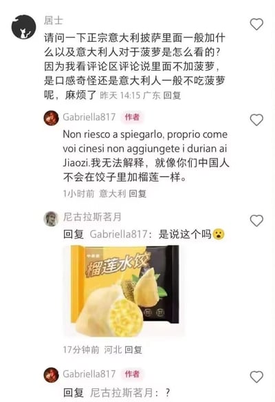 这是一段社交平台评论区的趣味互动对话：用户“居士”向意大利作者Gabriella817询问意大利人对披萨加菠萝的看法，Gabriella817用“中国人不会在饺子里加榴莲”的类比，来解释意大利人对披萨加菠萝的难以接受；随后用户“尼古拉斯茗月”发出了榴莲水饺的商品图，打破了这个类比，让意大利作者发出疑惑的回复，形成了因美食创新带来的有趣文化反差效果。
