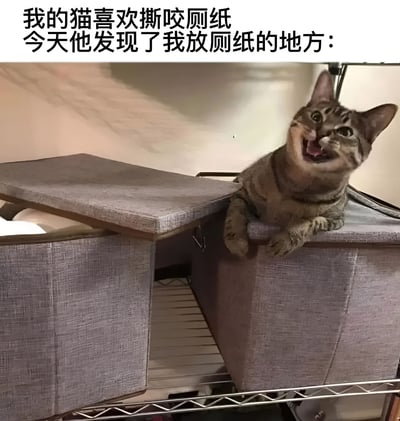 图片上方配有文字'我的猫喜欢撕咬厕纸 今天他发现了我放厕纸的地方：'，下方是一只虎斑猫正趴在一个打开盖子的灰色布艺收纳箱边缘。猫咪眼睛睁大，嘴巴张开，露出舌头，表情显得十分兴奋和惊喜，似乎刚发现箱内藏匿的厕纸。整体画面通过文字与猫咪表情的结合，幽默地展现了宠物发现心爱物品藏匿处时的可爱反应。