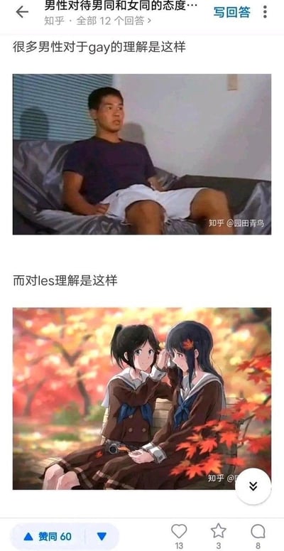 这是一张来自知乎回答的对比梗图，通过上下两张图的强烈反差，调侃部分男性对不同性少数群体的刻板印象差异：上方用一张表情局促、姿态拘谨的男性真人图，代表这类男性对男同的认知，传递出尴尬、不适的感受；下方用京阿尼动画《莉兹与青鸟》中两位女高中生铠冢霙与伞木希美在枫树下亲昵互动的唯美截图，代表他们对女同的浪漫化、理想化想象，用视觉反差讽刺了这种认知上的双标现象。