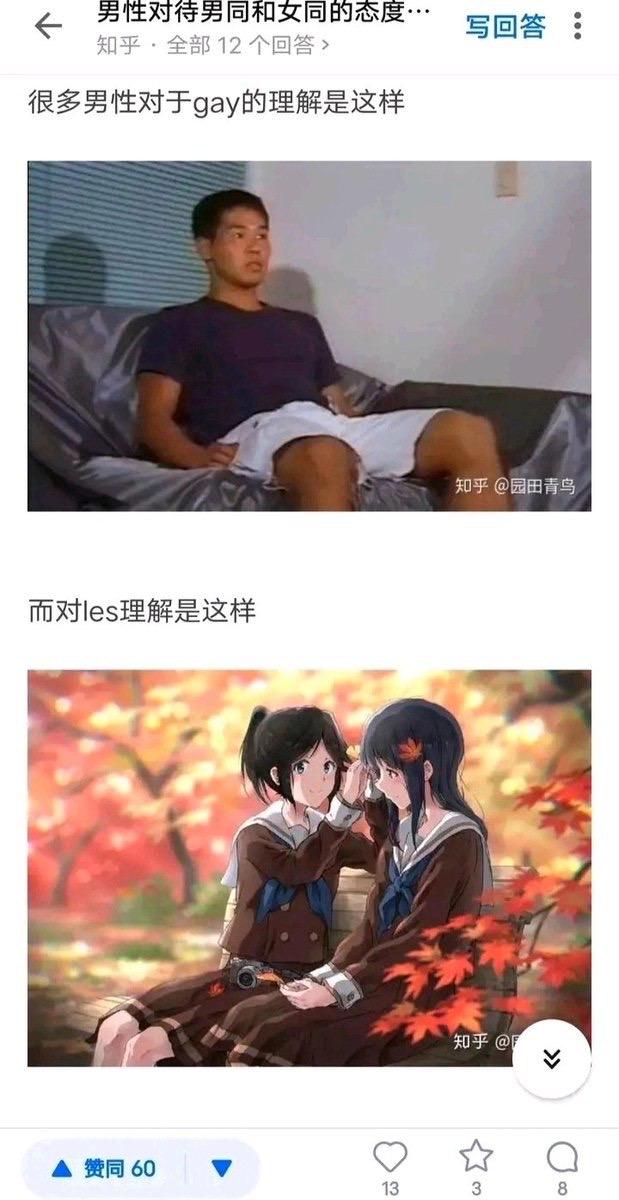 莉兹与青鸟