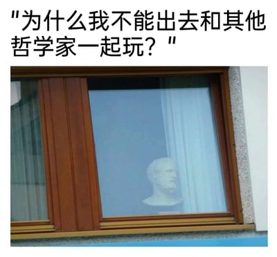 这是一张充满趣味的梗图，画面主体是从室外透过窗户看到的室内一尊白色古希腊哲学家（类似苏格拉底）的半身雕像，它静静伫立在窗边，面朝室外。图片上方配有拟人化的文字：“为什么我不能出去和其他哲学家一起玩？”，将无生命的雕像赋予孩童般的情绪与愿望，通过严肃雕像和幼稚提问的反差，制造出诙谐搞笑的效果，让原本庄重的哲学雕像变得充满反差萌。
