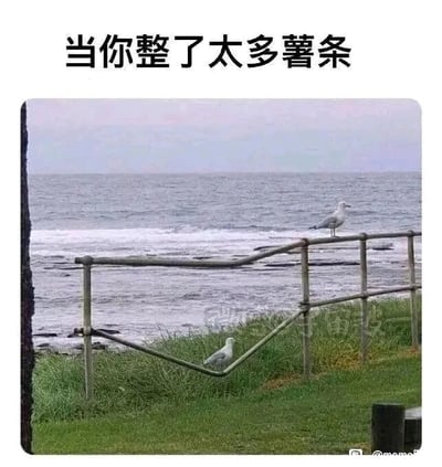 这是一张趣味文字加注静态图，画面上方配有中文文字“当你整了太多薯条”，主体是海边户外场景：近处是绿色草地和金属栏杆，远处是泛着波纹的海面。图中有两只海鸥，一只正常站立在栏杆的横杆上，另一只则恰好卡在栏杆的V型弯折结构中，身体被栏杆托住，姿态看起来像是肚子圆滚滚无法动弹。这张图通过海鸥的巧合姿态，幽默类比人类吃太多薯条后撑胀、行动不便的状态，用生活化的场景制造出诙谐的笑点，属于网络流行的饮食类调侃梗图。
