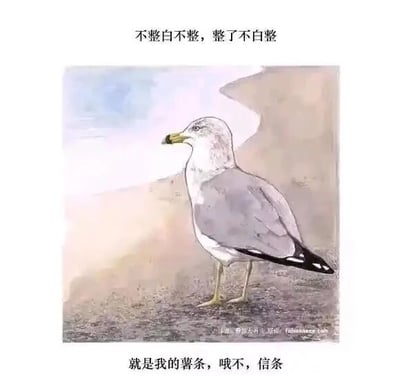 这是一张顶配底文的静态搞笑图，画面主体是一只站立在地面上的海鸥，它的喙中叼着一个外形类似薯条的物体。图片顶部配有文字“不整白不整，整了不白整”，传递出一种调侃式的跟风或做事的心态；底部文字“就是我的薯条，哦不，信条”则运用了“薯条”与“信条”的谐音梗，将海鸥看似叼着的薯条替换成“信条”，制造出反差幽默，用轻松搞笑的方式调侃了坚持某种信念的行为，整体风格诙谐有趣。