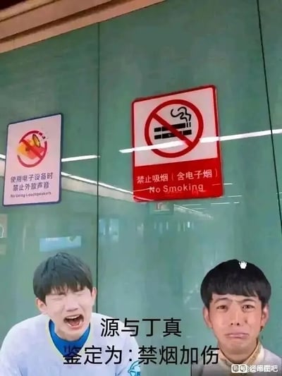 这是一张经过合成改编的表情包图片，背景是带有两个公共场所规范标识的玻璃墙面，左侧标识为“使用电子设备时禁止外放声音”，配有禁止外放的图案；右侧是红底白字的“禁止吸烟（含电子烟）”禁烟标识，带有国际通用的禁烟符号。图片下方拼接了两位公众人物的面部图像，左侧是王源，他眉头紧皱、大张嘴巴，呈现出痛苦大哭的夸张神态；右侧是丁真，他眉头皱起、嘴角下撇，面露委屈难过的神情。图片底部配有文字“源与丁真 鉴定为：禁烟加伤”，利用谐音梗制造笑点，“源”对应人物王源，“禁烟加伤”谐音“禁音加殇”，结合上方的禁止外放（禁音）和禁烟标识，以及两人悲伤的表情，将标识含义与人物状态结合，形成搞笑的网络梗内容。