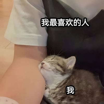 图片展示了一只灰白相间的小猫咪舒适地睡在一个人的腿上，小猫闭着眼睛，表情十分满足。图片上方有文字'我最喜欢的人'，小猫旁边有文字'我'，形成了一个可爱的梗图，暗示小猫认为自己是'我最喜欢的人'。