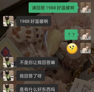 这是一张静态的聊天记录截图，对话双方使用猫类头像，分别是戴绿围巾的黑猫和无毛白猫。发送绿框消息的用户原本是想抒发对经典韩剧《请回答1988》的喜爱，用“请回答1988好温暖啊”的带有节目名的句式表达感慨，没想到对方完全按字面指令理解，直接重复了这句话作为“回答”，让发送者发出疑惑的问号和流口水的表情，随后对方理直气壮地解释是按照要求回答，最后还好奇询问是不是有好东西，整个对话充满了直白又搞笑的误会，展现了好友或情侣间日常互动的趣味错位。