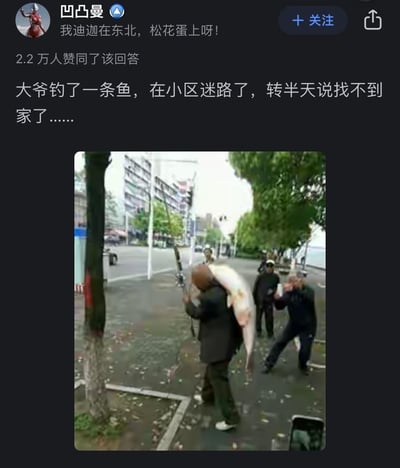 这是一张来自知乎的社交媒体截图，用户「凹凸曼」发布了搞笑内容：配文「大爷钓了一条鱼，在小区迷路了，转半天说找不到家了……」，配图是一位大爷将体型夸张的巨型鱼扛在肩膀上，手里还握着鱼竿，旁边的路人纷纷投来惊讶的目光，其中一位路人甚至做出夸张的惊讶动作。内容用幽默夸张的方式调侃这条鱼的体型大到仿佛让大爷“迷失方向”，制造出搞笑的反差感，没有双关、谐音梗或暗示内容。