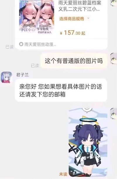 这是一段电商客服与买家的聊天记录截图，买家询问一款碧蓝档案下江小春的义乳等身抱枕是否有普通版图片，客服回复需要买家提供邮箱才能发送图片，随后买家直接发送了一张碧蓝档案角色优香的Q版截图，以此调侃客服的要求，是玩家圈子里用来吐槽这类繁琐要求的搞笑梗图。