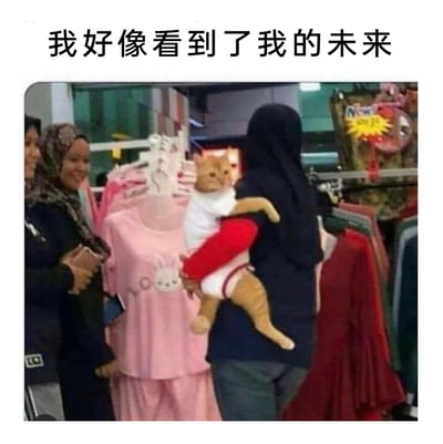 这是一张在服装店内拍摄的趣味照片，画面中一位穿着深色连帽衫的人抱着一只橘猫，猫的身体和旁边挂着的白色带红袖子的童装部分视觉重合，营造出猫被穿上婴儿款式衣服、像小孩子一样被抱着的错觉。旁边的两位女士正看着这个场景露出笑容，图片上方配文“我好像看到了我的未来”，用这个巧妙的视觉错位效果，调侃自己未来可能会像这样被长辈当作小孩一样带着逛街，充满了搞笑和自嘲的意味，引发人们对这种“被当成小孩”场景的共鸣。