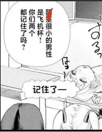 黑白漫画风格单图，画面中有两个卡通角色。左侧角色通过对话框训斥：“是很小的男性 你们两个飞机杯！都记住了吗？”，右侧角色低头回应：“记住了—”。场景疑似室内办公室，背景有办公桌。图中“飞机杯”为网络俚语。