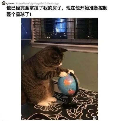 这是一张充满趣味的宠物照片，画面中一只灰棕带白的猫咪蹲在带有黑白植物花纹的桌面上，两只前爪搭在一个小型地球仪的黑色支架上，低头专注地看向地球仪，姿态仿佛在操控、规划着什么。图片上方配有中文调侃文字“他已经完全掌控了我的房子，现在他开始准备控制整个星球了！”，以拟人化的夸张手法，将猫咪在家中的“主导”地位放大，调侃它要统治星球，既展现了猫咪的可爱，也体现出铲屎官对猫咪的喜爱，容易引发养猫人群的共鸣，充满轻松幽默的氛围。