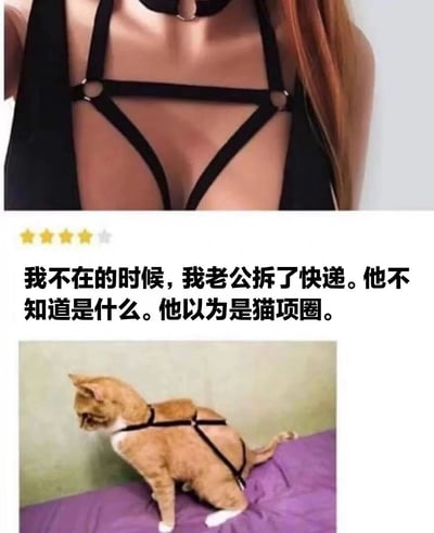 图片分为上下两部分。上部分是一位女性穿着黑色情趣内衣的上半身特写，内衣设计有交叉的带子和金属环。下部分是一只橘猫，身上被戴上了同款黑色束缚带，正站在紫色的垫子上，表情看起来有些困惑。图片中间配有文字：“我不在的时候，我老公拆了快递。他不知道是什么。他以为是猫项圈。” 整体通过对比展示了一个因误解产生的搞笑场景。